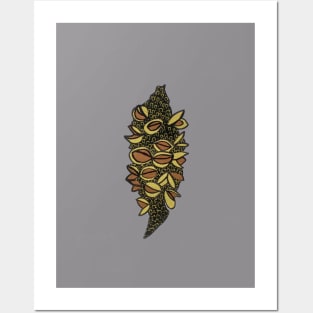 Banksia Pod Posters and Art